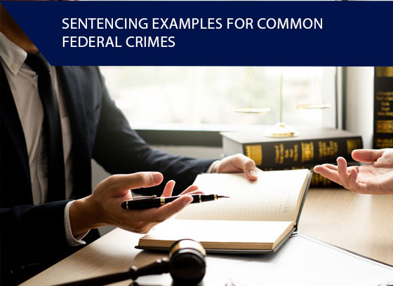 Sentencing Examples for Common Federal Crimes