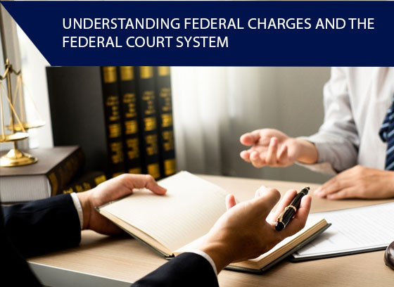 Understanding Federal Charges and the Federal Court System