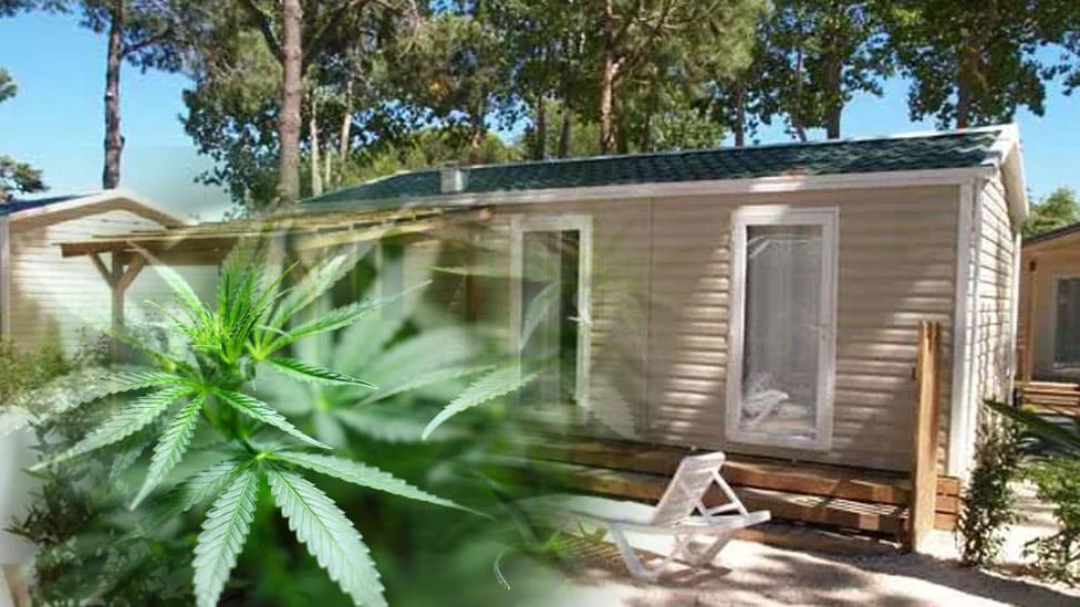 Civil Case Updates for Criminal Practitioners Archive (April 2020)